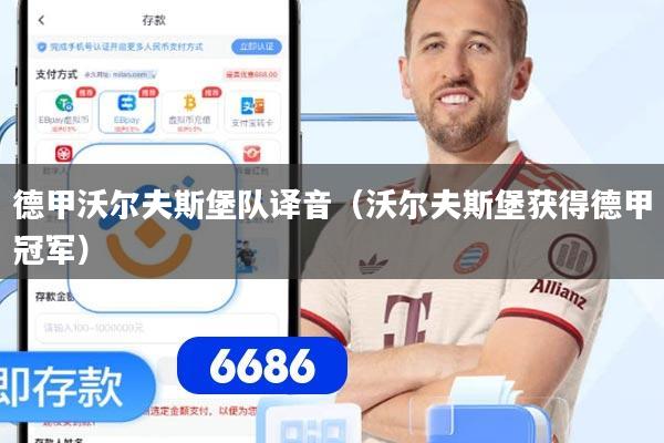 德甲沃尔夫斯堡队译音（沃尔夫斯堡获得德甲冠军）